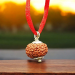 10 Mukhi Rudraksha Lab Certified - Natural Ten-Face Rudraksha for Lord Vishnu’s Protection – Malawala