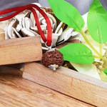 10 Mukhi Rudraksha Lab Certified - Natural Ten-Face Rudraksha for Lord Vishnu’s Protection – Malawala