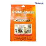 12 Mukhi Rudraksha Lab Certified - Natural Twelve-Face Rudraksha for Surya Dev Energy – Malawala
