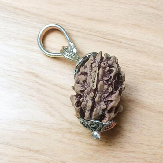 3 Mukhi Rudraksha Lab Certified - Natural Three-Face Rudraksha for Agni Dev Blessings – Malawala