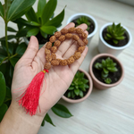 3 Mukhi Rudraksha Mala 8MM - Natural 3 Mukhi Rudraksha for Confidence & Power with Lab Certificate - Malawala