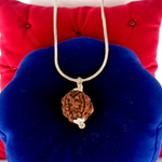 4 Mukhi Rudraksha Lab Certified - Natural Four-Face Rudraksha for Brahma Wisdom – Malawala