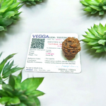 4 Mukhi Rudraksha Lab Certified - Natural Four-Face Rudraksha for Brahma Wisdom – Malawala