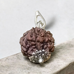 5 Mukhi Rudraksha Lab Certified - Natural Five-Face Rudraksha for Shiva Protection – Malawala