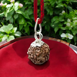 5 Mukhi Rudraksha Lab Certified - Natural Five-Face Rudraksha for Shiva Protection – Malawala