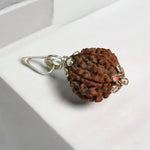 5 Mukhi Rudraksha Lab Certified - Natural Five-Face Rudraksha for Shiva Protection – Malawala