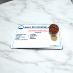 5 Mukhi Rudraksha Lab Certified - Natural Five-Face Rudraksha for Shiva Protection – Malawala