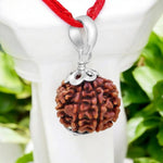 7 Mukhi Rudraksha Lab Certified - Natural Seven-Face Rudraksha for Goddess Lakshmi’s Blessings – Malawala