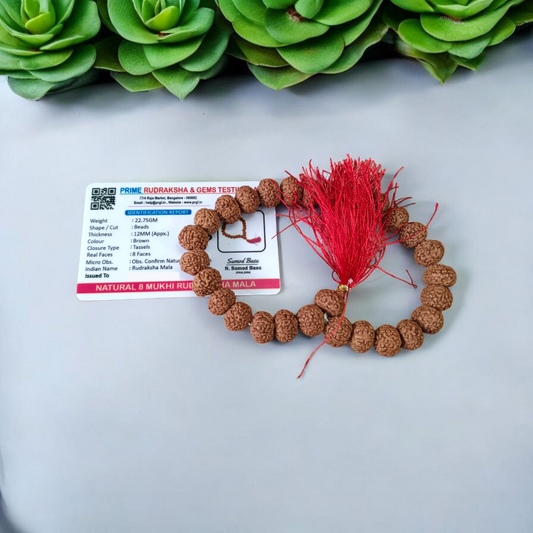 8 Mukhi Rudraksha Mala 27+1 Beads Lab Certified | Malawala