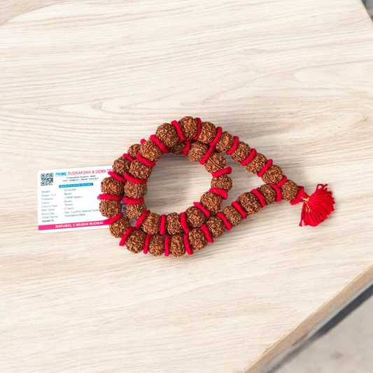 A spiritual combo featuring a red velvet Kantha Mala made with 5 Mukhi Rudraksha beads and a silver-capped 3 Mukhi Rudraksha pendant, both lab certified