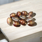 Black Cowry For Puja By Malawala