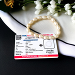 Close-up of MALAWALA Natural Pearl Bracelet featuring 10–11mm round white pearls on elastic thread, ideal for daily wear, meditation, and gifting