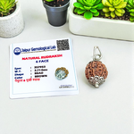 Combo Rudraksha pendant featuring lab certified 1 Mukhi and 6 Mukhi beads set in metal caps, ideal for spiritual and energy healing purposes