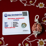 Combo pendant with lab certified 6 Mukhi and 4 Mukhi Rudraksha beads in metal caps, designed for wisdom, strength, and communication