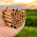 Dalchini – Cinnamon Sticks, 100 Grams Pack – Malawala