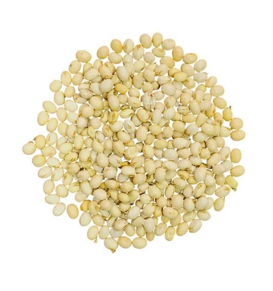 Gunja Seeds Set of 21 – Red, White & Black | Loose Beads | Lab Certified | For Pooja, Remedies & Protection Use – Malawala