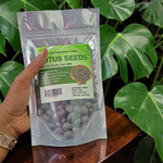 natural lotus seeds kamalgatta mala for lakshmi puja wealth prosperity spiritual beads