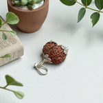 Image of Garbh Gauri Rudraksha twin bead with natural brown texture, placed on a silk cloth with traditional background