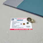 Image of a combo featuring a Laxmi Narayan Shaligram stone and a sacred Shaligram pendant placed on a spiritual altar background
