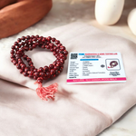 Image showing a set of 4 Jaap Malas – Rudraksha, White Sandalwood, Sphatik, and Red Sandalwood – neatly arranged on a traditional spiritual cloth