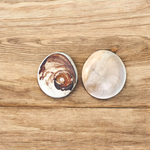 Image showing a set of two large Gomati Chakras with natural spiral patterns, placed on a white cloth, ideal for Puja and decoration