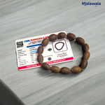 Kamal Gutta Bracelet - Natural Lotus Seed Beads for Spiritual Growth & Divine Blessings with Lab Certificate - Malawala