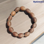 Kamal Gutta Bracelet - Natural Lotus Seed Beads for Spiritual Growth & Divine Blessings with Lab Certificate - Malawala