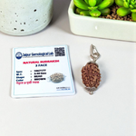 Lab certified pendant combining 3 Mukhi and 6 Mukhi Rudraksha beads set in metal caps, ideal for meditation and prayer rituals