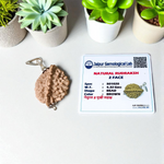 Lab certified pendant with 2 Mukhi and 3 Mukhi Rudraksha beads set in metal caps, symbolizing emotional balance and inner power