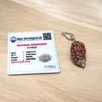 Lab certified pendant with 2 Mukhi and 3 Mukhi Rudraksha beads set in metal caps, symbolizing emotional balance and inner power