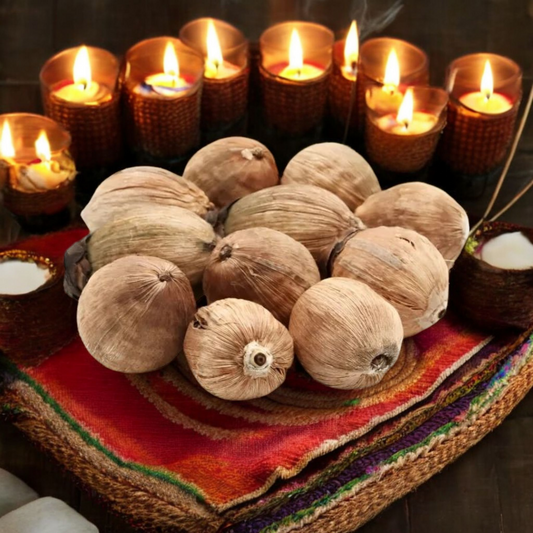 Lagu Nariyal – Set of 8 | Sacred Small Coconut for Hawan, Pujan & Rituals – Malawala