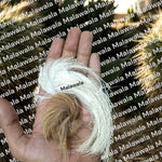 Nar-Mada Siyar Singhi pair wrapped in red and yellow sacred cloth – original and Abhimantrit for fast results in 7 days