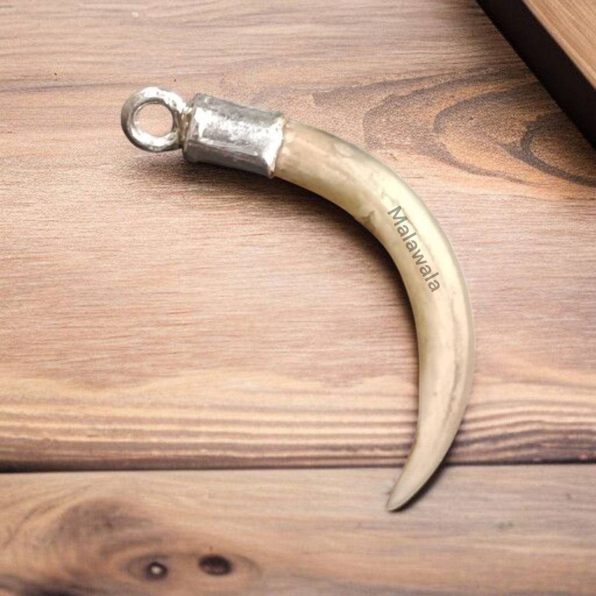 Veb-kamerada mushukni yaladi