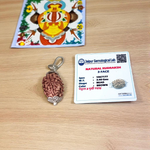 Pendant featuring lab certified 3 Mukhi and 4 Mukhi Rudraksha beads in a dual-metal cap design, placed against a neutral background