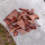 Pipal Chaal – Peepal Bark – Pipal Chhal – Ficus Religiosa, 100 Grams – Malawala