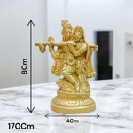 Radha Krishna Brass Idol | Radha Krishna Murti | Malawala
