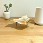 Right Hand Dakshinavarti Lakshmi Shankh – Natural Valampuri Shankh for Puja & Prosperity with Lab Certificate – Malawala