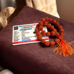 Rudraksha Mala 10MM - Natural 5 Mukhi Rudraksha for Enlightenment & Protection with Lab Certificate - Malawala