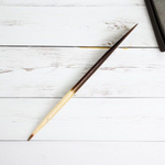 Saahi Ka Kanta - Porcupine Quills Set of 2 - Original Sahi Kanta Upay Ke Liye - Malawala