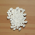 White Cowry | Safed Kodi Natural Malawala