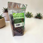 natural lotus seeds kamalgatta mala for lakshmi puja wealth prosperity spiritual beads