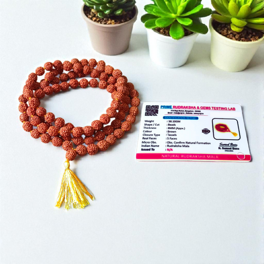 Mukhi Rudraksha Mala for Peace & Spiritual Growth
