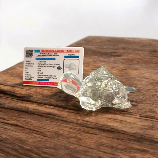 Crystal Shree Yantra on Tortoise for Prosperity | Malawala