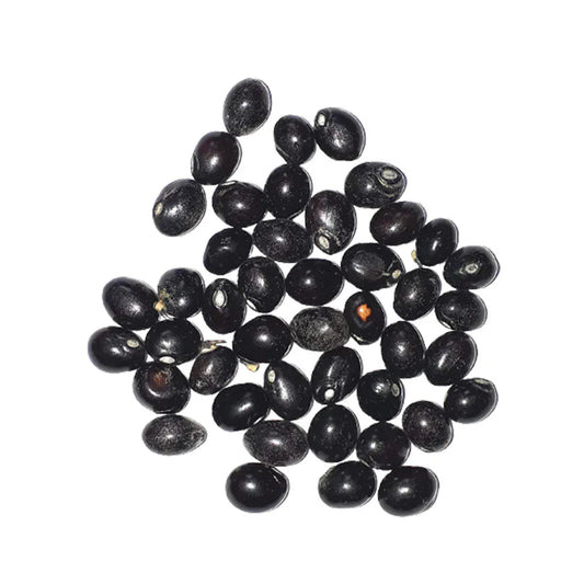 Gunja Seeds Set of 21 Beads | Benefits & Use
