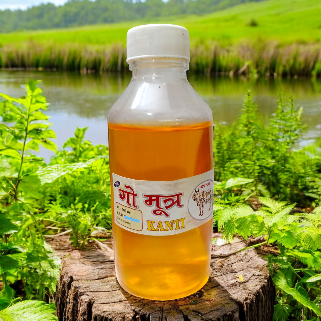 Gomutra Ark 100ML Benefits & Uses | Malawala