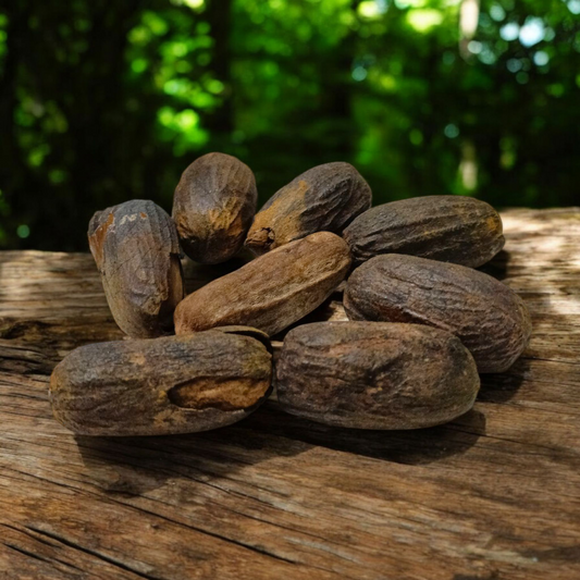 Jaiphal Purvi Sabut Jayfal for Puja – Natural Nutmeg