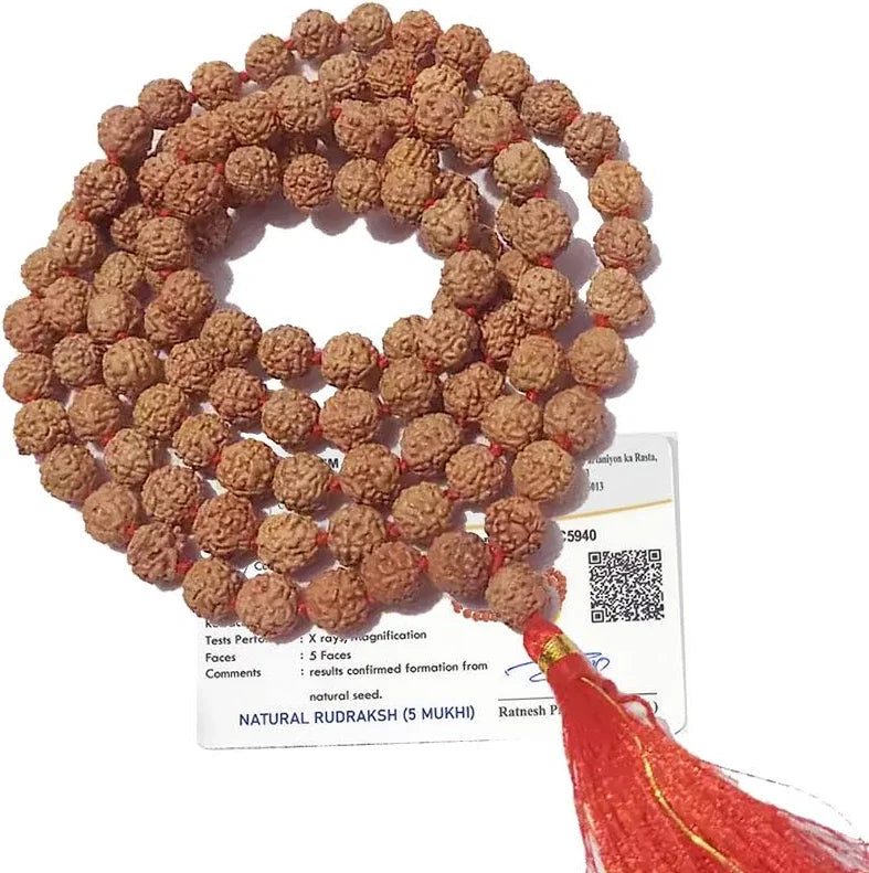 7 Mukhi Rudraksha Mala Benefits for Wealth & Luck