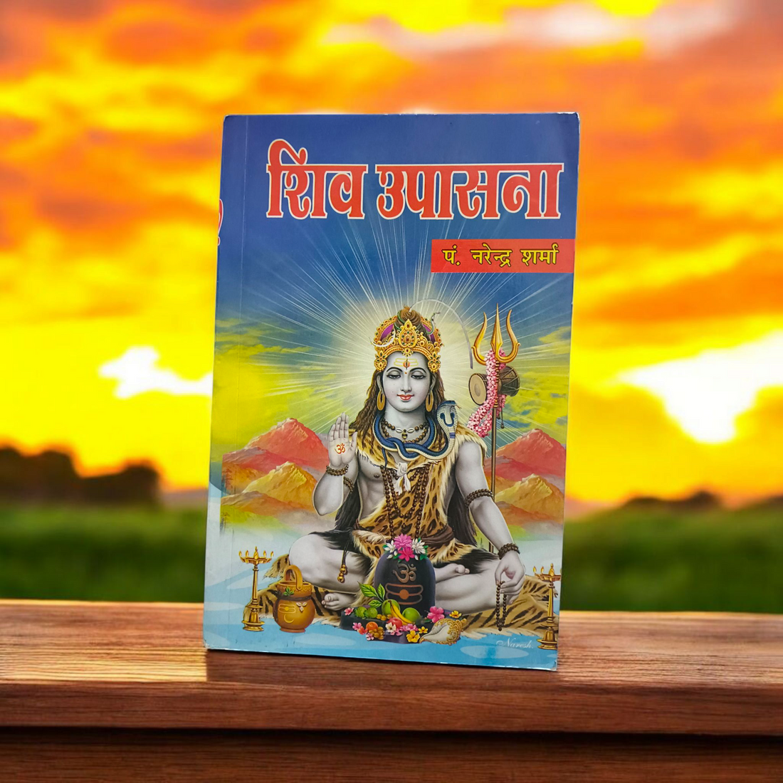 Shiv Upasana Hindi Book for Spiritual Growth