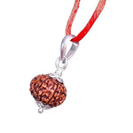 10 Mukhi Rudraksha Lab Certified - Natural Ten-Face Rudraksha for Lord Vishnu’s Protection – Malawala