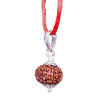 10 Mukhi Rudraksha Lab Certified - Natural Ten-Face Rudraksha for Lord Vishnu’s Protection – Malawala